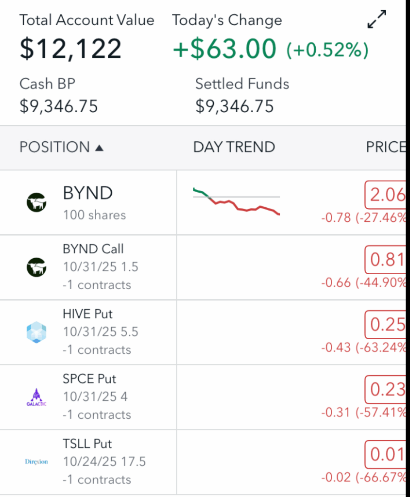 Lowering your average share price on a losing position